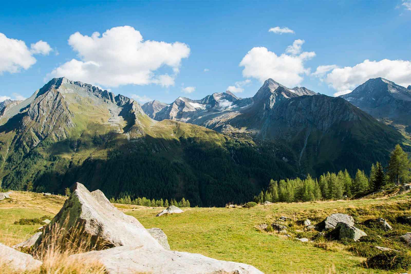 Hotel Majestic – Panorama di montagna e prati alpini